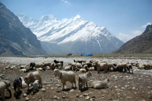 api_himal_Darchula.jpg