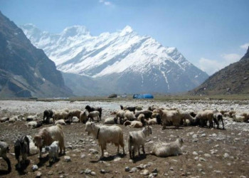 api_himal_Darchula.jpg