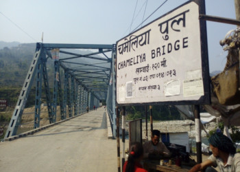 chameliya_pul_001.jpg
