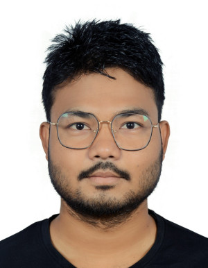 नरेन्द्र चौधरी