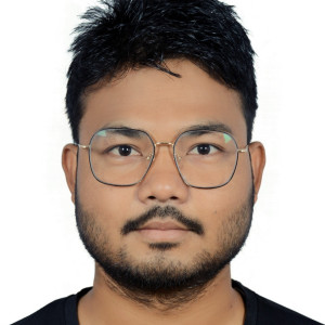 नरेन्द्र चौधरी